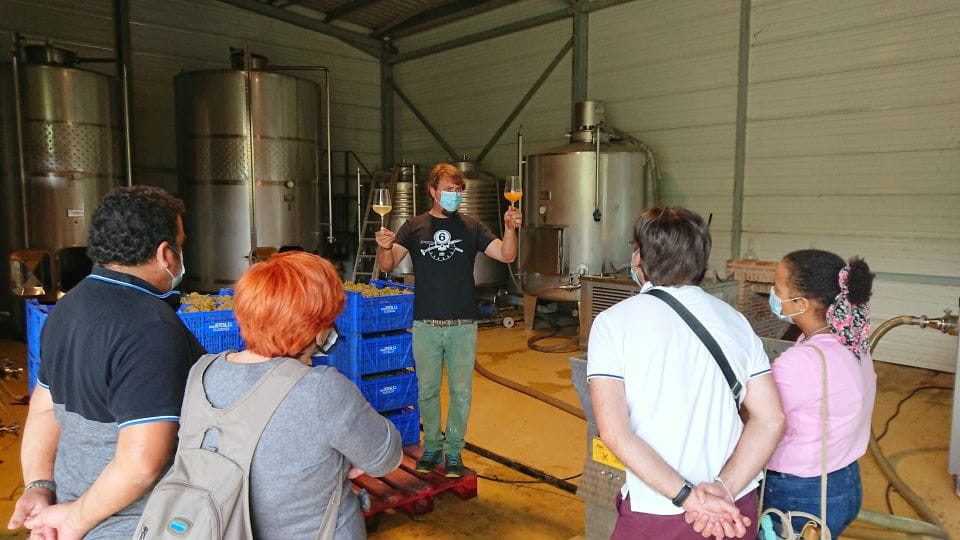 From Santander: Gastronomic Tour - Anchovy Manufacturing