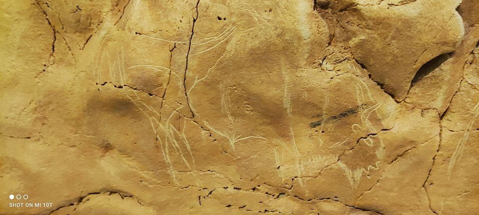 From Santander: Santillana Del Mar & Altamira Museum Tour - Inclusions