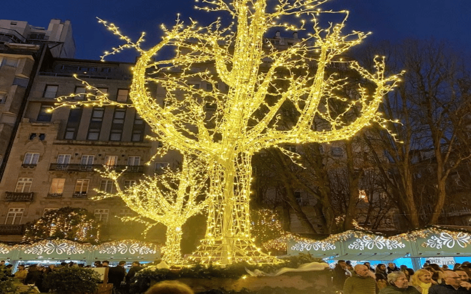 From Santiago: Christmas Lights of Vigo And Pontevedra - Scenic Boat Ride