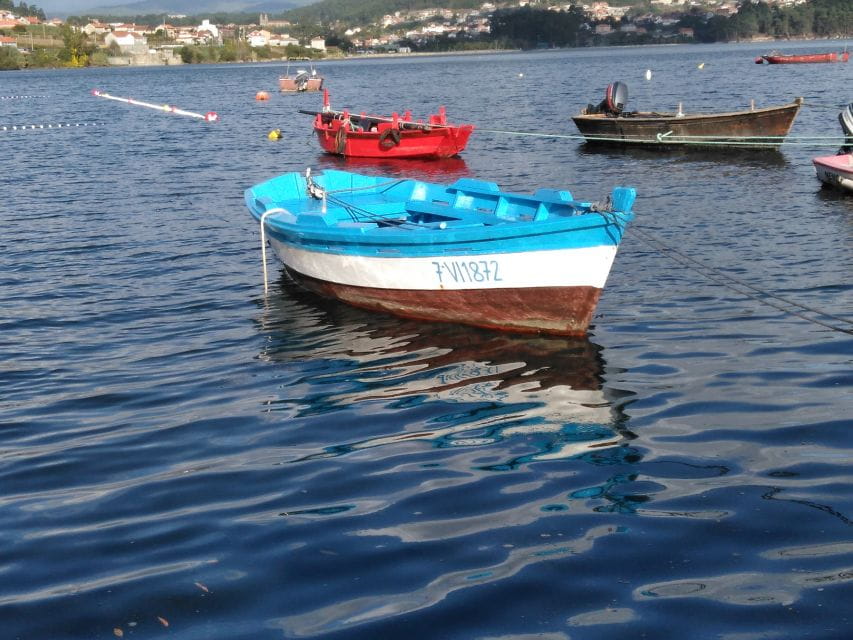 From Santiago De Compostela: Rias Baixas Tour - Padrón