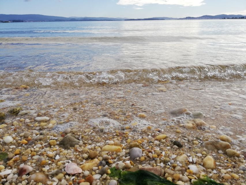 From Santiago De Compostela: Rias Baixas Tour - A Illa De Arousa