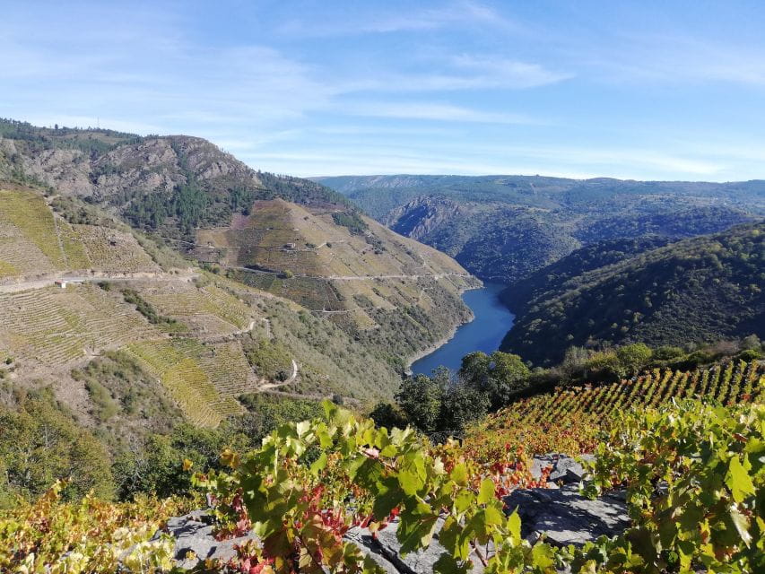 From Santiago: Excursion to Ribeira Sacra and Ourense - Customer Feedback