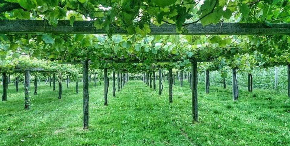 From Santiago: Rías Baixas Galicia Seafood & Wine Day Tour - Cancellation Policy