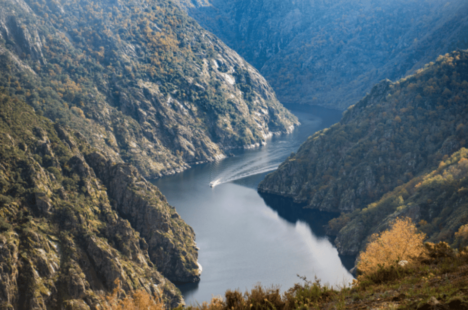 From Santiago: Ribeira Sacra History & Art Trip With Cruise - Key Points