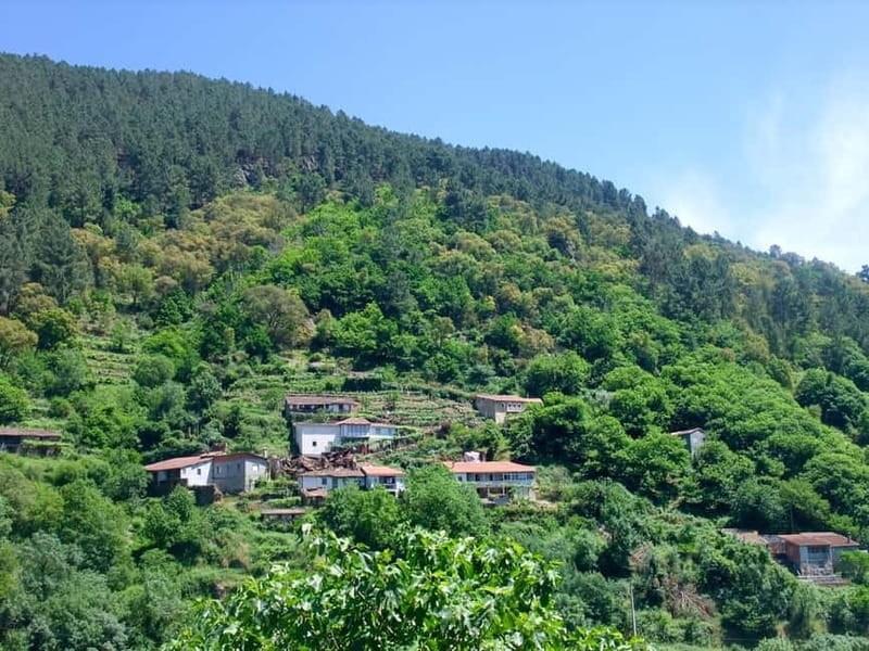 From Santiago: Ribeira Sacra & Sil River Canyon Boat Tour - Who This Tour Is Perfect For