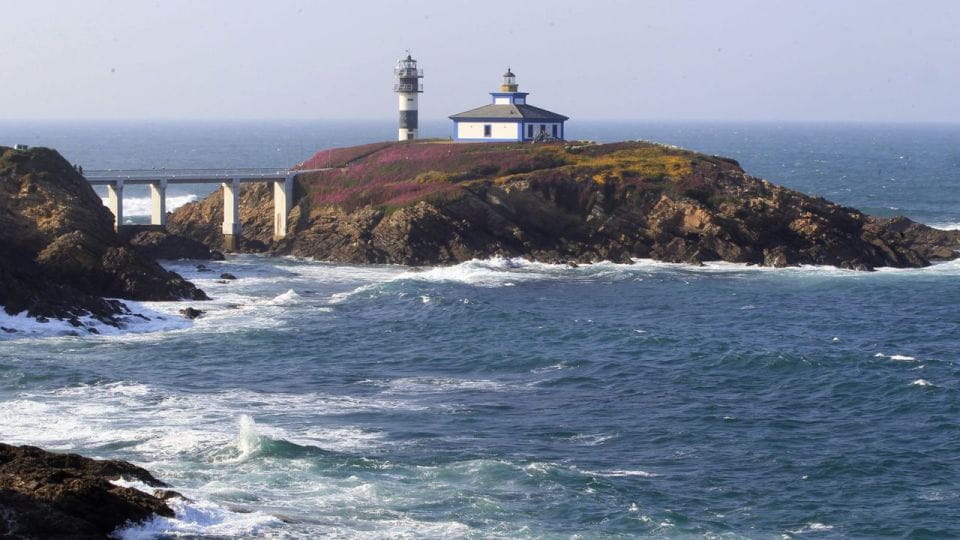 From Santiago: Tour to Cathedral Beach, Asturias, and Pancha - Transportation and Guides