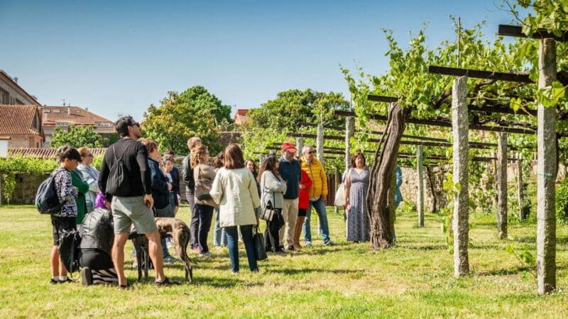From Santiago: Tour to Rias Baixas with Boat Trip and Winery - Discover Galicias Coastal Charm with the Rias Baixas Tour from Santiago