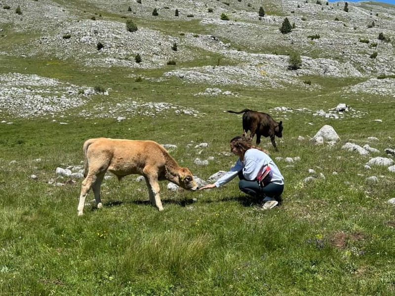 From Sarajevo: Private Lukomir Village 4x4 Safari - Local Flavors and Cultural Insights
