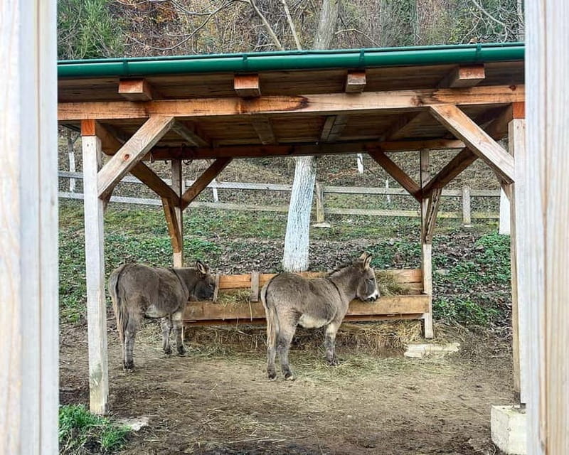 From Sarajevo: Visoko Pyramids, Plantations & Horse Riding - Key Points / Takeaways