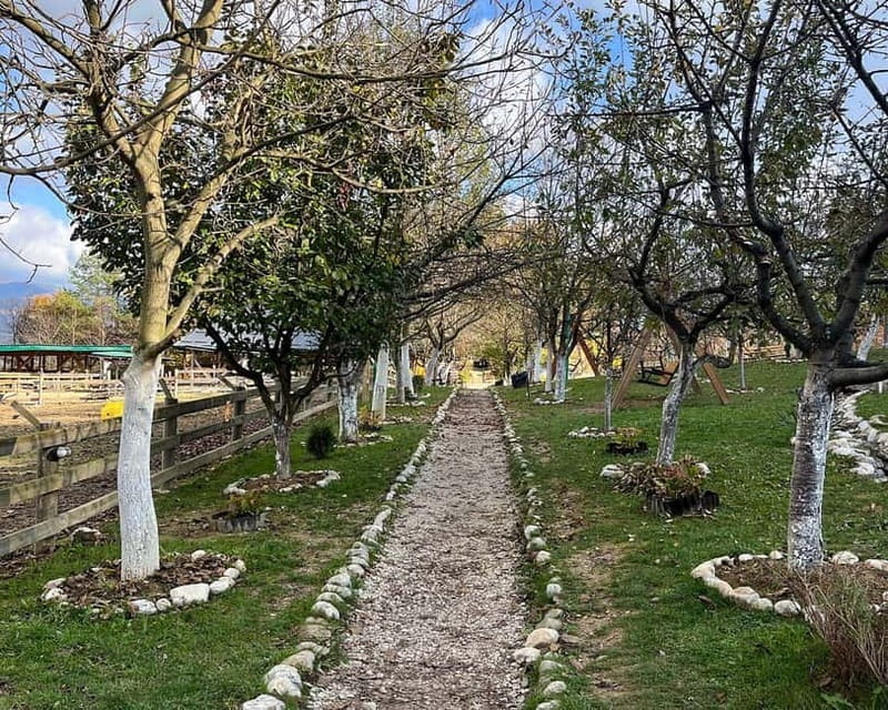 From Sarajevo: Visoko Pyramids, Plantations & Horse Riding - The Itinerary: What Makes Each Stop Special