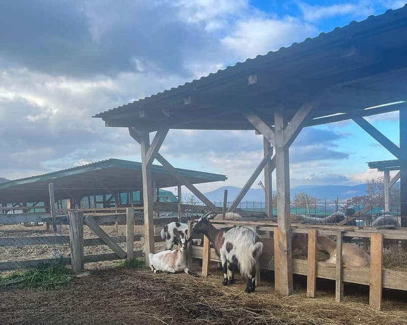 From Sarajevo: Visoko Pyramids, Plantations & Horse Riding - Price and Value