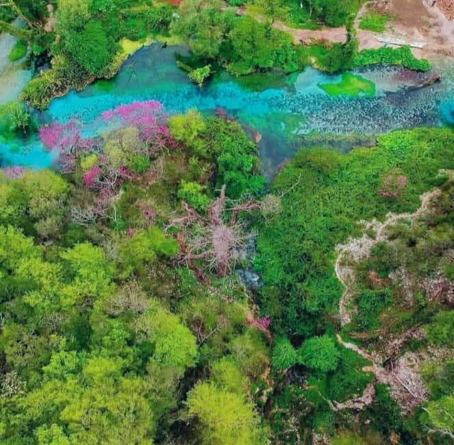 From Saranda: Gjirokastra Stone City & Blue Eye Day Trip - Wandering the Old Bazaar: Shops, Snacks, and Souvenirs