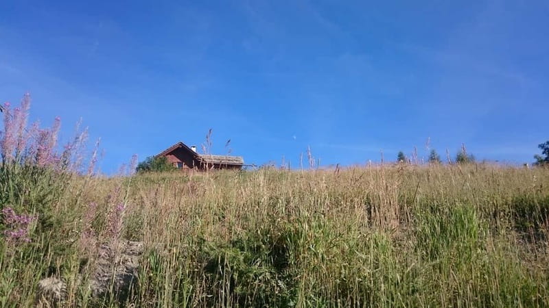 From Sauze d'Oulx to Capanna Mollino: Alpine architecture - Key Points / Takeaways