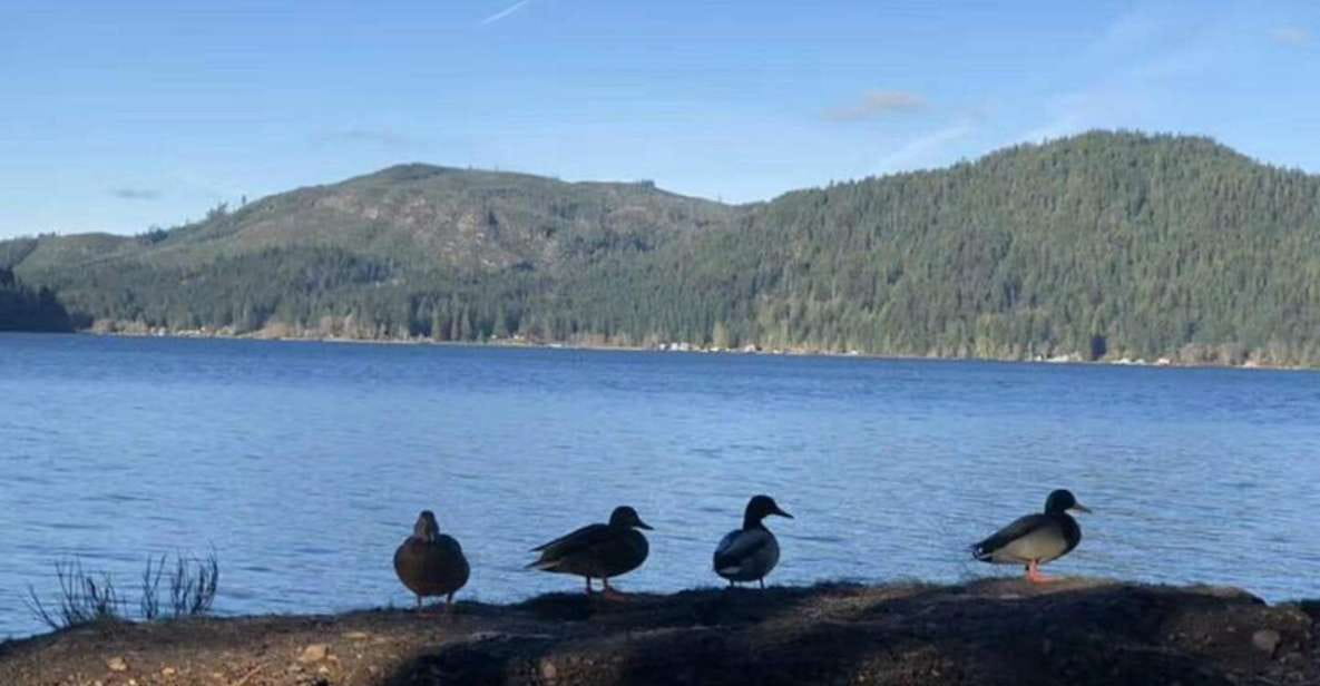 From Seattle: Olympic National Park Full-Day Tour - Key Points