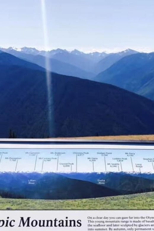 From Seattle: Olympic National Park Full-Day Tour - Diverse Landscapes