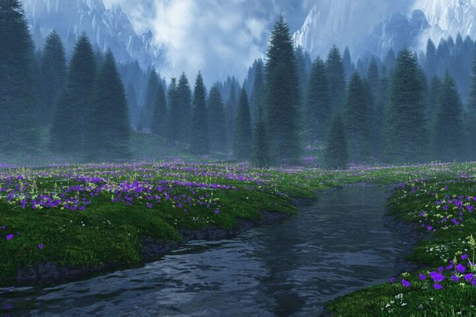 From Seattle: Twilight Forks Washington Tour - Key Points