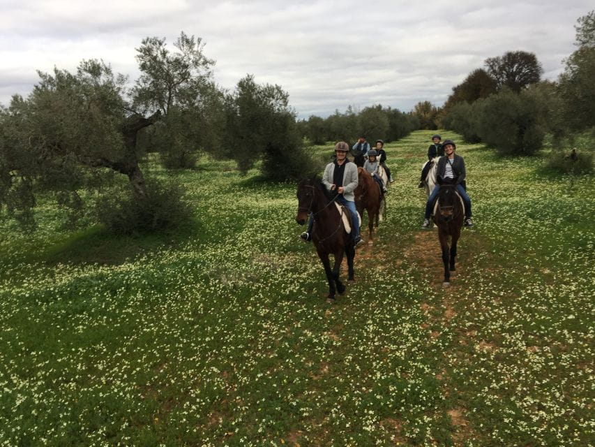 From Seville: Andalusian Horseback Ride - Things To Know