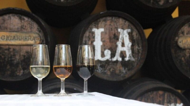 From Seville: Cadiz & Jerez Sherry Tasting Day Trip - Price and Value