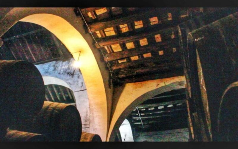 From Seville: Cadiz & Jerez Sherry Tasting Day Trip - Conclusions: Is This Tour Right for You?