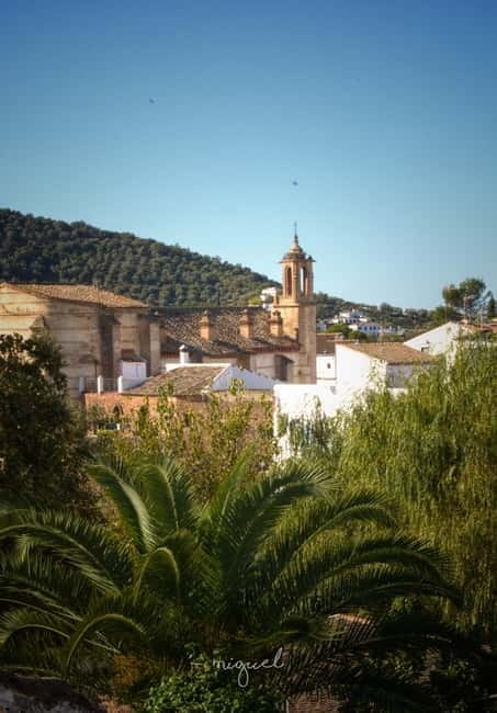 From Seville: Cerro del Hierro Private Hike with Picnic - Price and Logistics