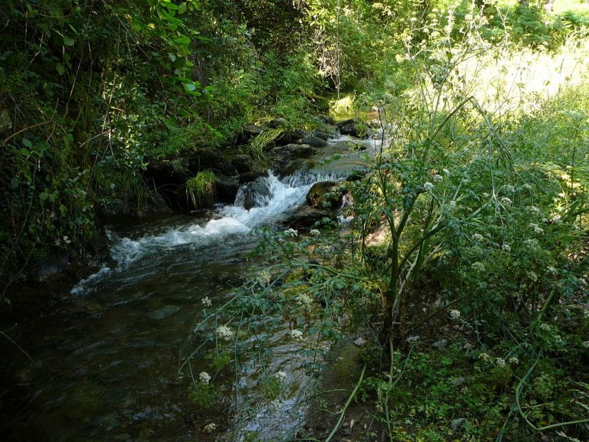 From Seville: Full-Day Aracena & Rio Tinto Mines Tour - Customer Reviews