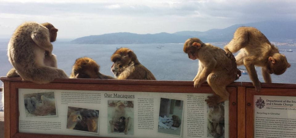 From Seville: Full-Day Private Tour of Gibraltar - Inclusion in the Tour