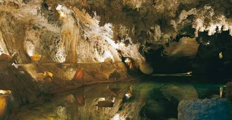 From Seville: Iberian Ham Full-Day Tour to Aracena - A Day in Andalusia: What to Expect from the Tour