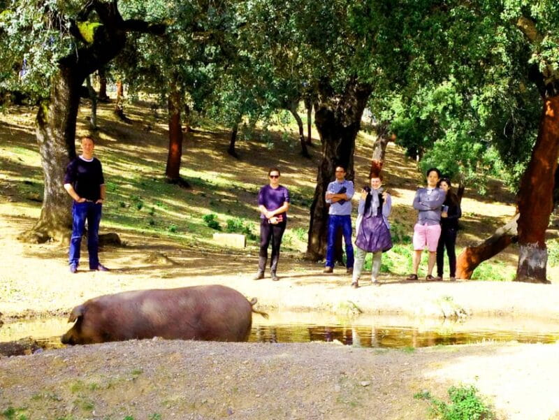 From Seville: Iberian Ham Full-Day Tour to Aracena - FAQ