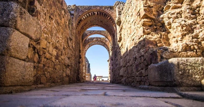 From Seville: Merida Private Full Day Tour - Price and Logistics