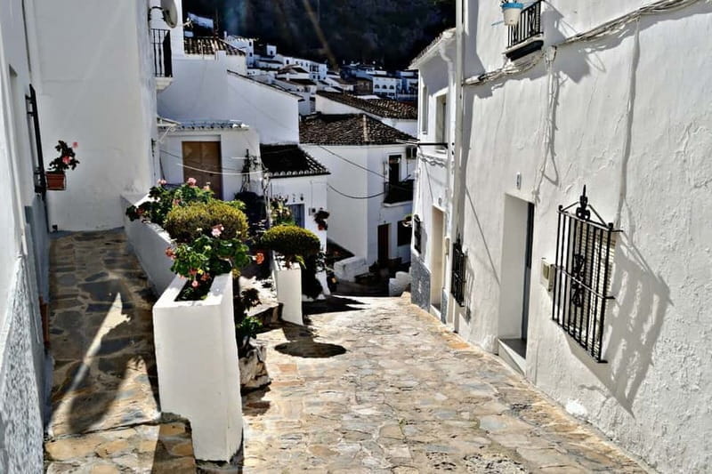 From Seville: White Villages and Ronda private day trip - A Closer Look at the Itinerary: What Makes Each Stop Special