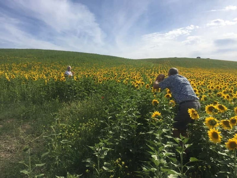 From Seville: White Villages and Ronda private day trip - Final Thoughts