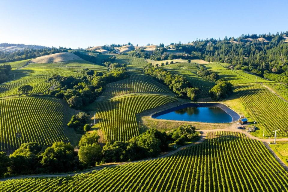 From SFO - Enchanted Napa & Sonoma Wine Tour in SUV - Additional Information