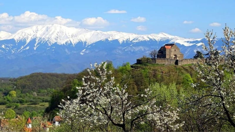 From Sibiu: Blue Line & City Tour Sighisoara - UNESCO - Why This Tour Is a Great Choice for Travelers