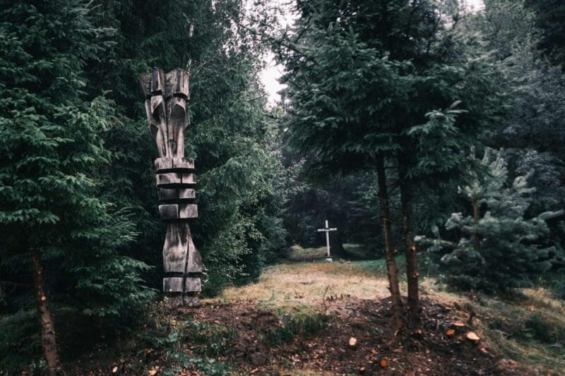 From Sibiu: Guided tour through the heart of Marginimea. - Key points / Takeaways