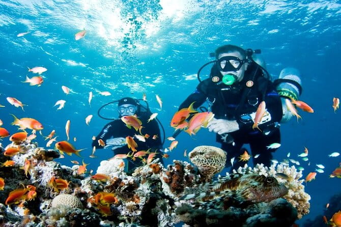 From Side, Alanya: Scuba Diving With 2 Time Dive & Lunch - Key points / Takeaways