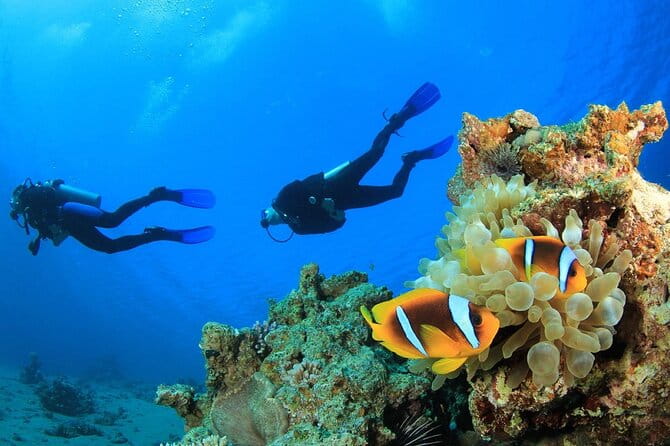 From Side, Alanya: Scuba Diving With 2 Time Dive & Lunch - Practical Tips for Making the Most of the Day