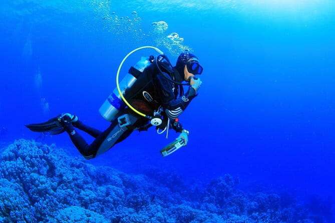 From Side, Alanya: Scuba Diving With 2 Time Dive & Lunch - The Bottom Line: Is This Tour for You?