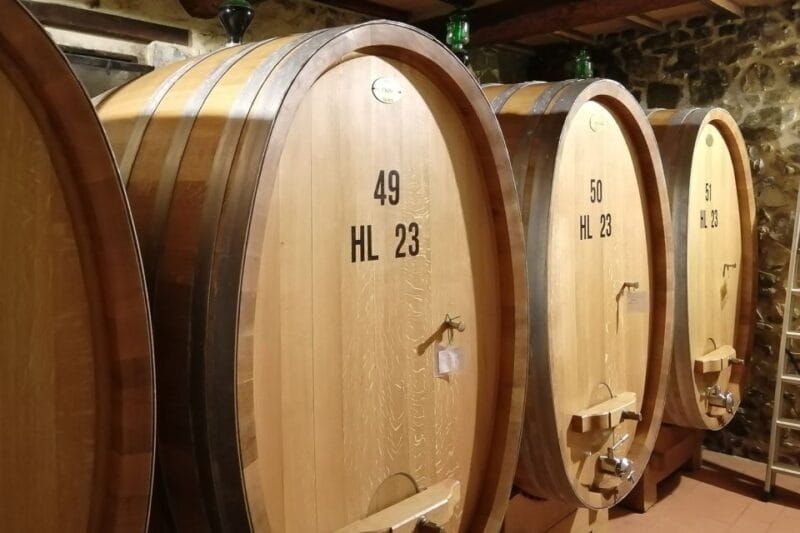 From Siena: Brunello di Montalcino Guided Wine Tour W/ Lunch - FAQ: Practical Questions Answered