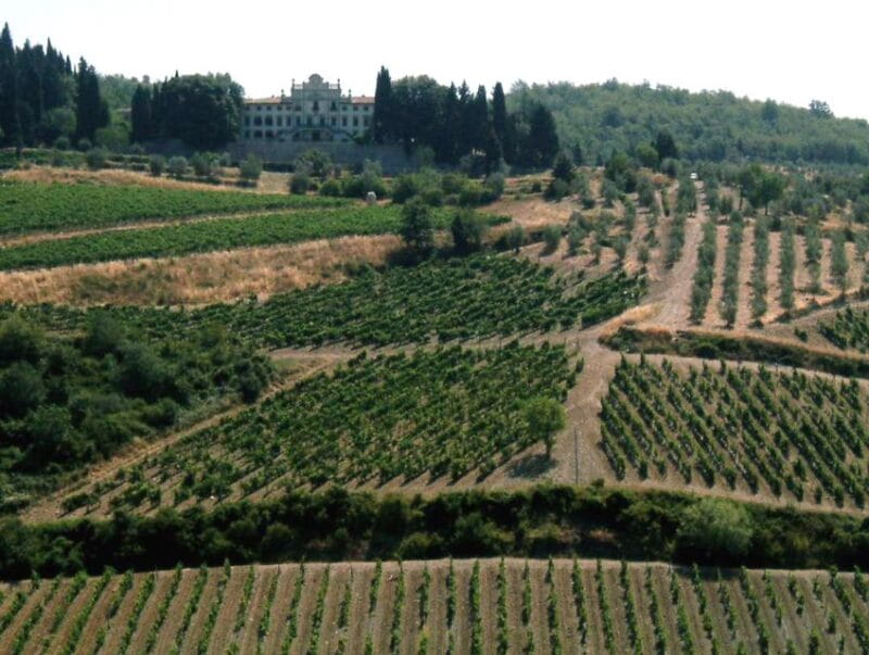 From Siena: Chianti and Castles Tour with Wine Tastings - Key points / Takeaways