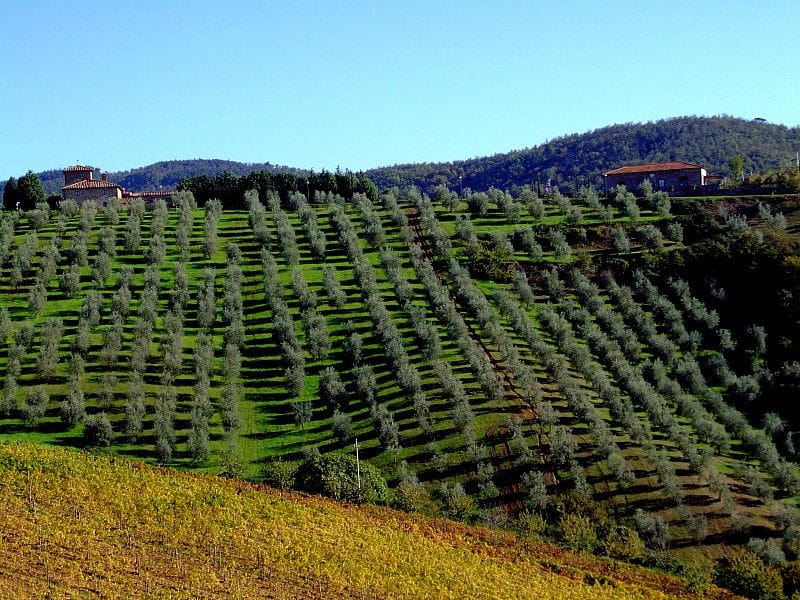 From Siena: Chianti and Castles Tour with Wine Tastings - Who is This Tour Best For?