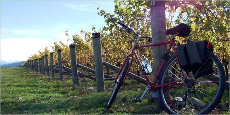 From Siena: Chianti Countryside E-Bike Tour w/ Lunch & Wine - Key Points / Takeaways