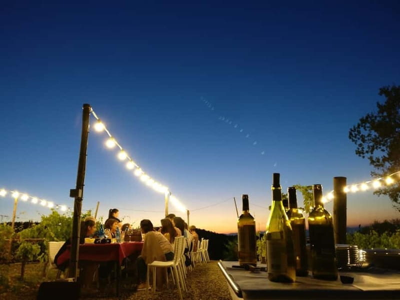 From Siena/Chianti: Dinner & Drinks in the Chianti Vineyards - Entering the Heart of Chianti’s Vineyards