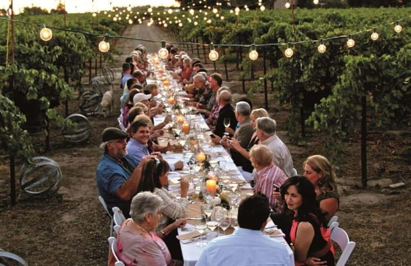 From Siena/Chianti: Dinner & Drinks in the Chianti Vineyards - A Farm-Fresh Four-Course Meal in a Magical Setting