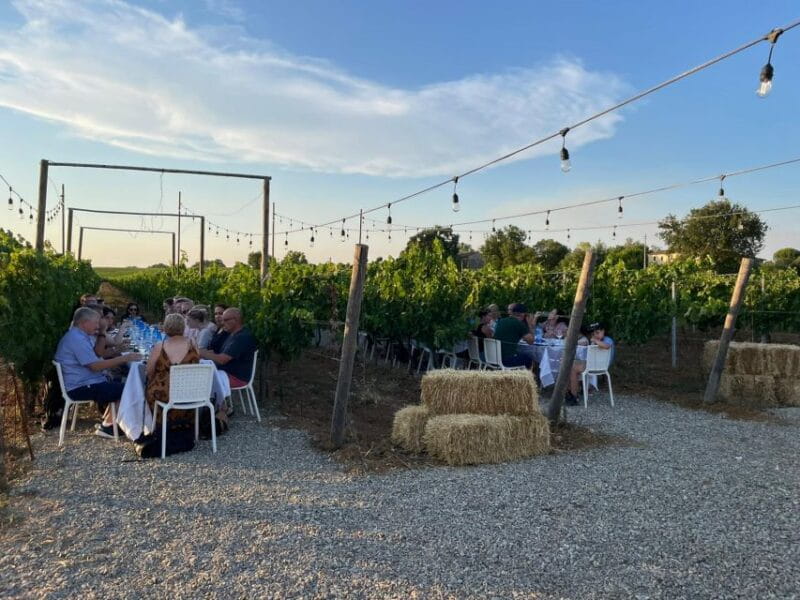 From Siena/Chianti: Dinner & Drinks in the Chianti Vineyards - Returning to Siena — Reflecting on a Genuine Tuscan Evening