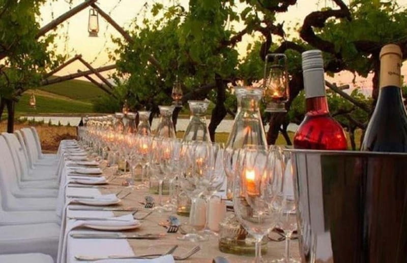 From Siena/Chianti: Dinner & Drinks in the Chianti Vineyards - Price, Logistics, and Who Will Love This Tour