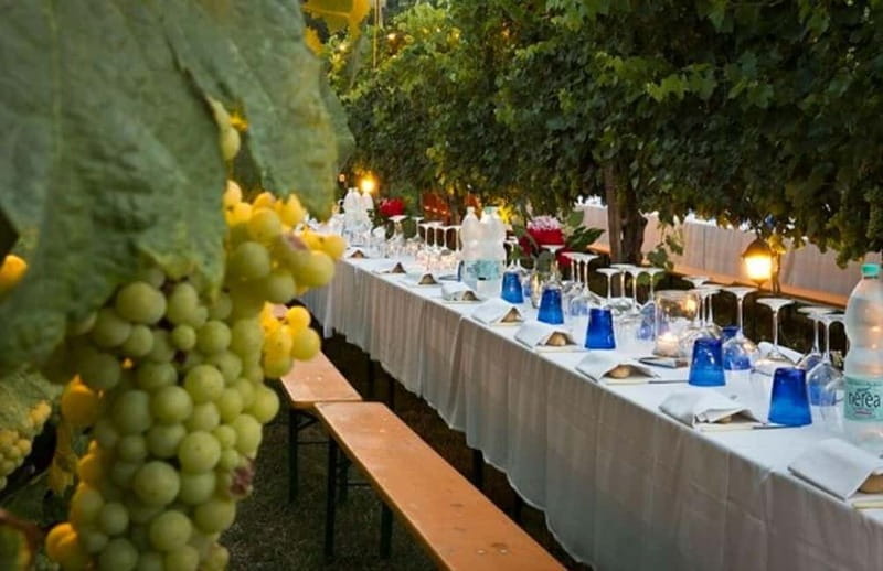 From Siena/Chianti: Dinner & Drinks in the Chianti Vineyards - FAQ