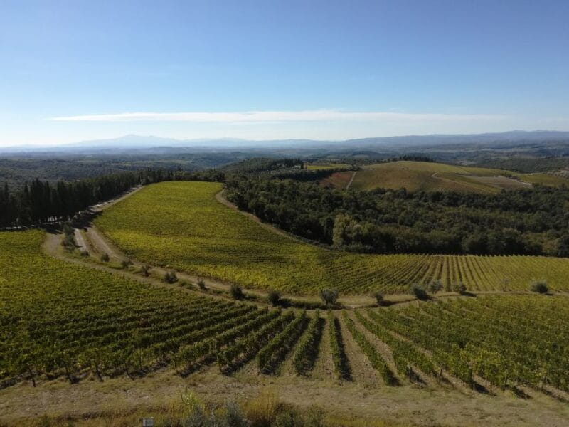 From Siena: Chianti Wine Tour with Lunch - Key points / Takeaways