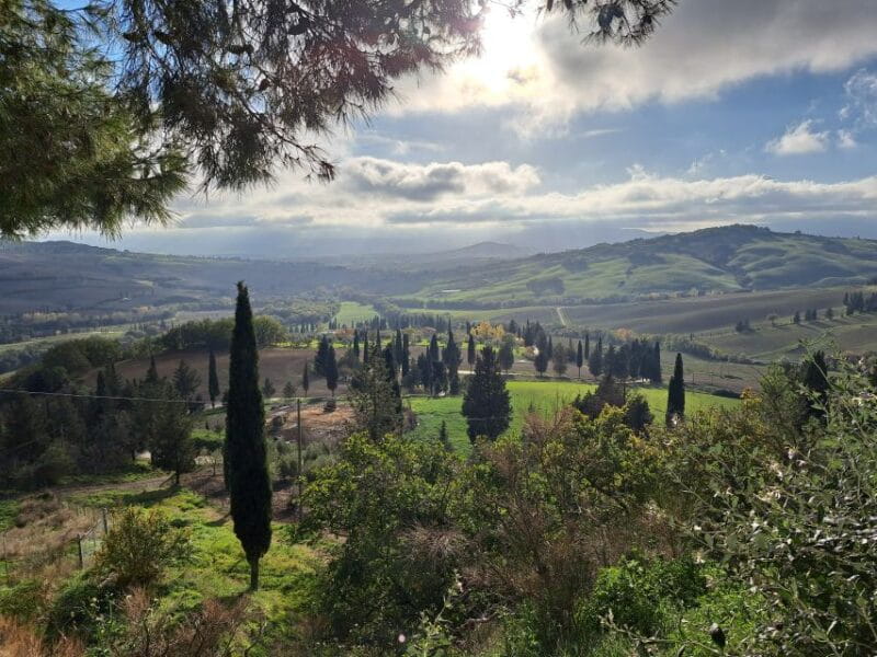 From Siena: Pienza and Montepulciano Small-Group Tour - Price and Logistics – Is It Worth It?