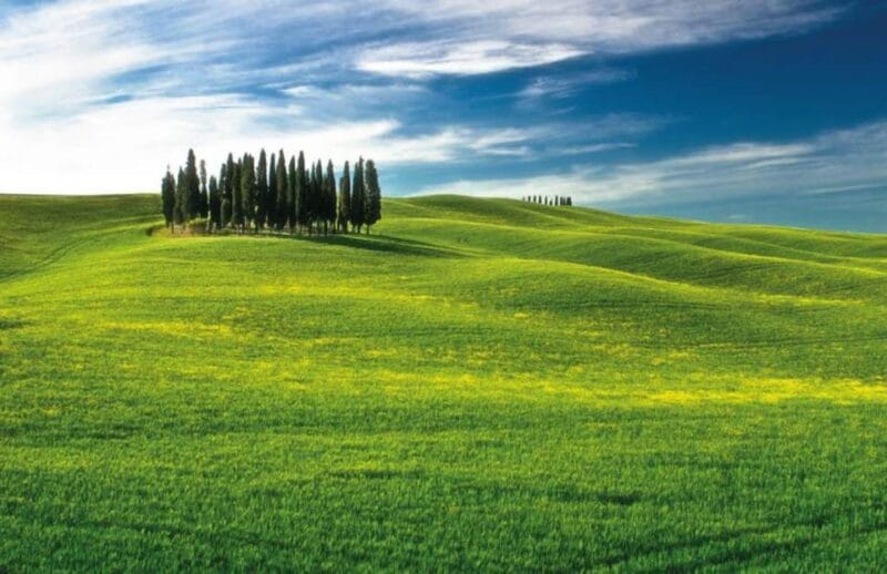 From Siena: San Gimignano, Chianti, and Montalcino Day Trip - An In-Depth Look at the Tuscan Day Trip