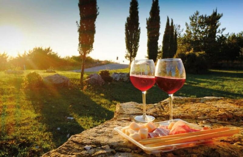 From Siena: San Gimignano, Chianti, and Montalcino Day Trip - Who This Tour Is Perfect For